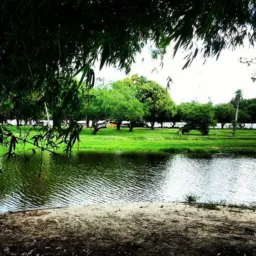 Ufpe é 2 jardim Recife 🤤🔥